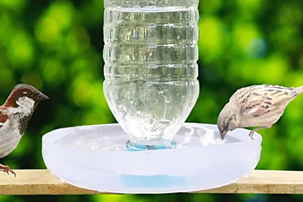 How to make a homemade bird water feeder?