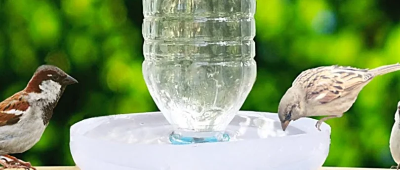 How to make a homemade bird water feeder?